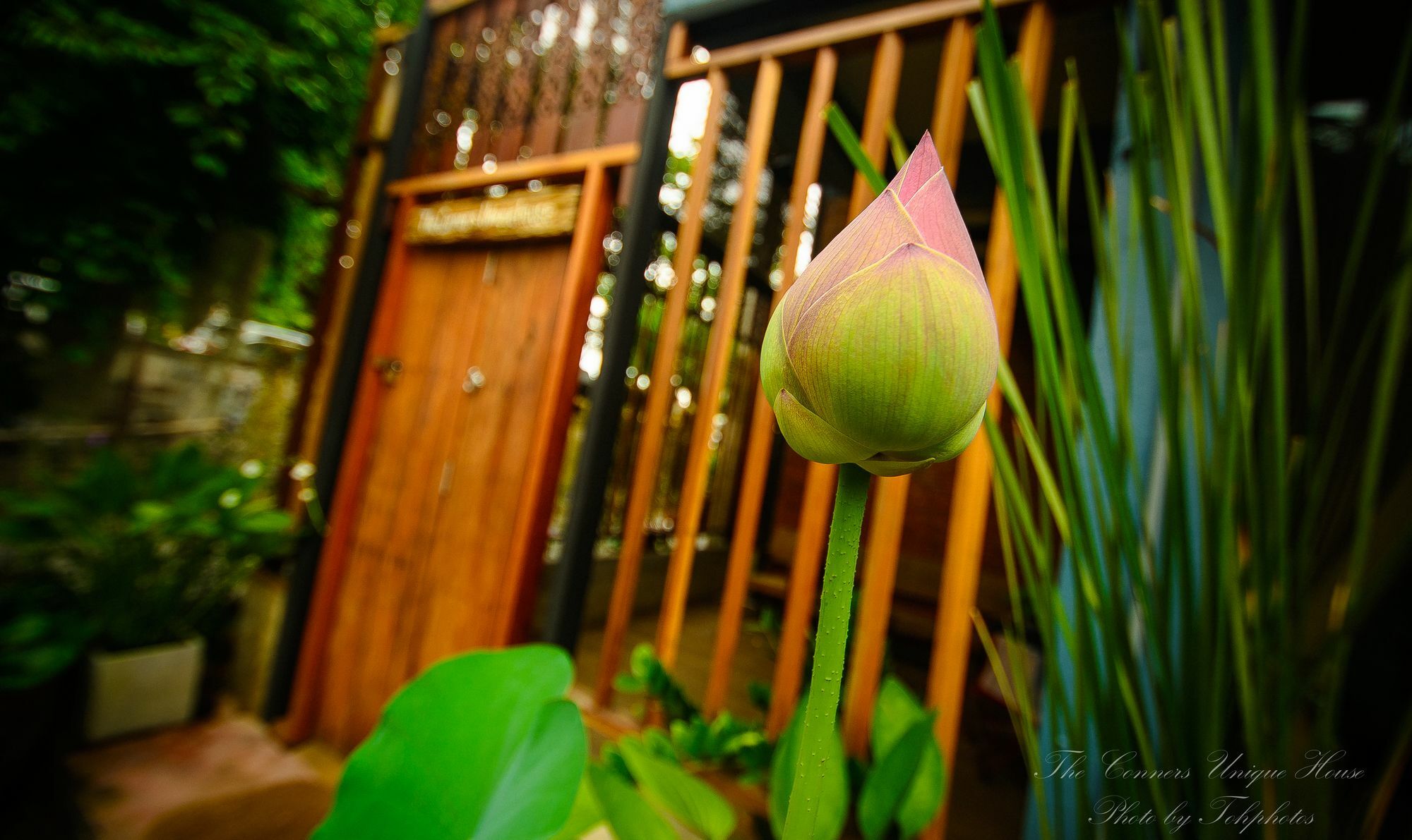 The Corner'S Unique House Villa Chiang Mai Ngoại thất bức ảnh